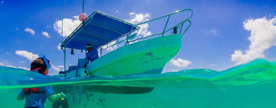 Snorkeling in Florida Keys